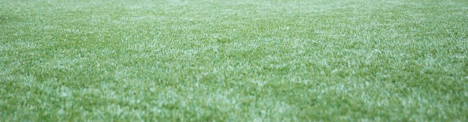 Namgrass